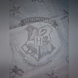 Harry Potter Spellbound 4 Curtain Panels Tie Backs 100% Polyester Hogwarts 42×84